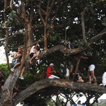 Fãs de Lady Gaga sobem em cima de árvores e sacos de areia para ter visão do palco