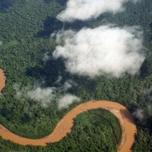Cinco pessoas sobrevivem a queda de avião em pântano repleto de jacarés  - wikimedia commons