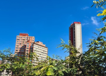 Dis claros e ensolarados mas muito frio marcam o fim de semana em Belo Horizonte -  (crédito: Jarir Amaral/EM/D.A.Press)