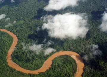 Vista aérea de um trecho da Amazônia boliviana, onde avião caiu em área cheia de jacarés -  (crédito: wikimedia commons)