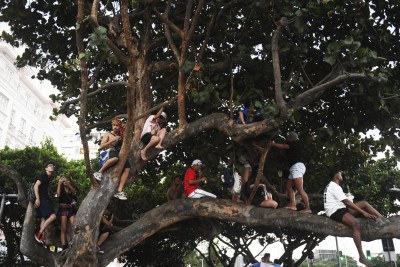 Fãs da cantora pop sobem em árvores para conseguir vista privilegiada do show na praia de Copacabana -  (crédito: Daniel RAMALHO / AFP)