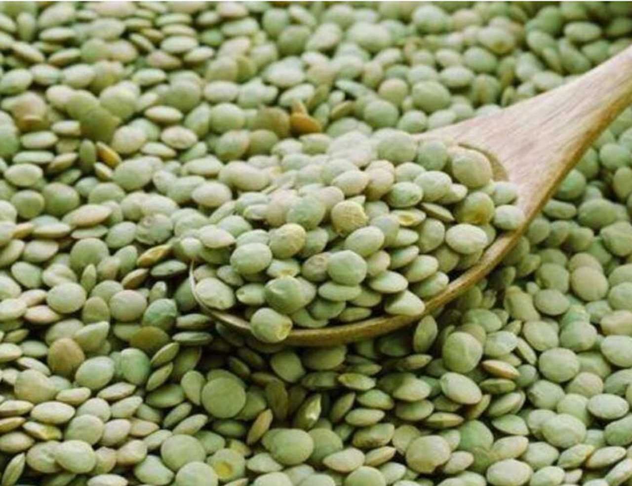 Outras leguminosas como a lentilha, a ervilha e o grão-de-bico são boas fontes não só de ferro mas também de outros minerais como cálcio, magnésio, potássio, fósforo e zinco.