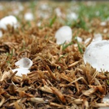 Chuva de granizo virou atração, mas pode causar estragos; veja como ela se forma! - Etienne Marais/Pixabay 