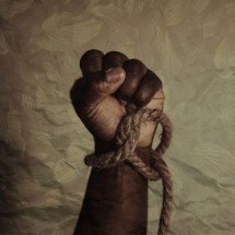 Brasileiros com importante papel na luta contra a escravidão - Tasha Jolley Unsplash