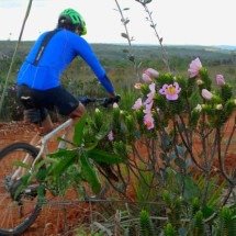 Caminho de Sainta-Hilaire, trechos da Serra do Espinhaço, cordilheira que corta Minas Gerais