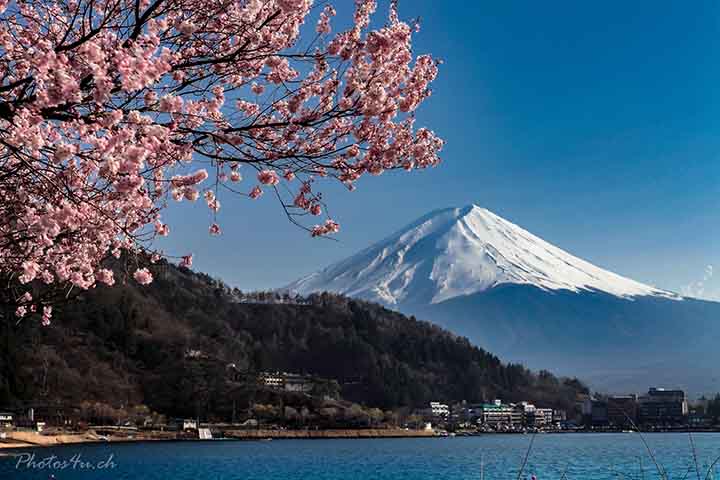 O monte é parte integrante do Parque Nacional Fuji-Hakone-Izu, onde existem cinco lagos que o rodeiam. O Lago Kawaguchi que é o de mais fácil o, Yamanaka, Motosu e o Shoji. De todos estes locais se tem boa visibilidade para o Fuji-san, bem como do Lago Ashi, que fica nas proximidades.