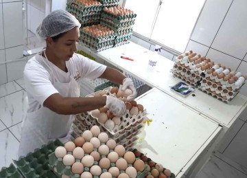 há empreendedor que, em três anos, já alcança produção diária  de 6,5 mil ovos. Começou com mil galinhas caipiras e hoje tem 7 mil
 -  (crédito: Divulgação/Emater-MG)