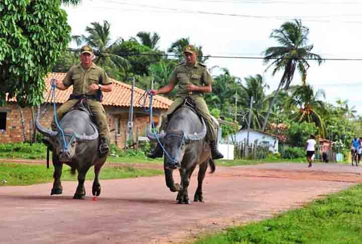 O municÃ­pio de Soure possui cerca de 25 mil habitantes, enquanto o efetivo do 8Âº BPM atua com aproximadamente 200 policiais militares. AlÃ©m de viaturas e motocicletas, a unidade militar conta com o apoio de bÃºfalos.