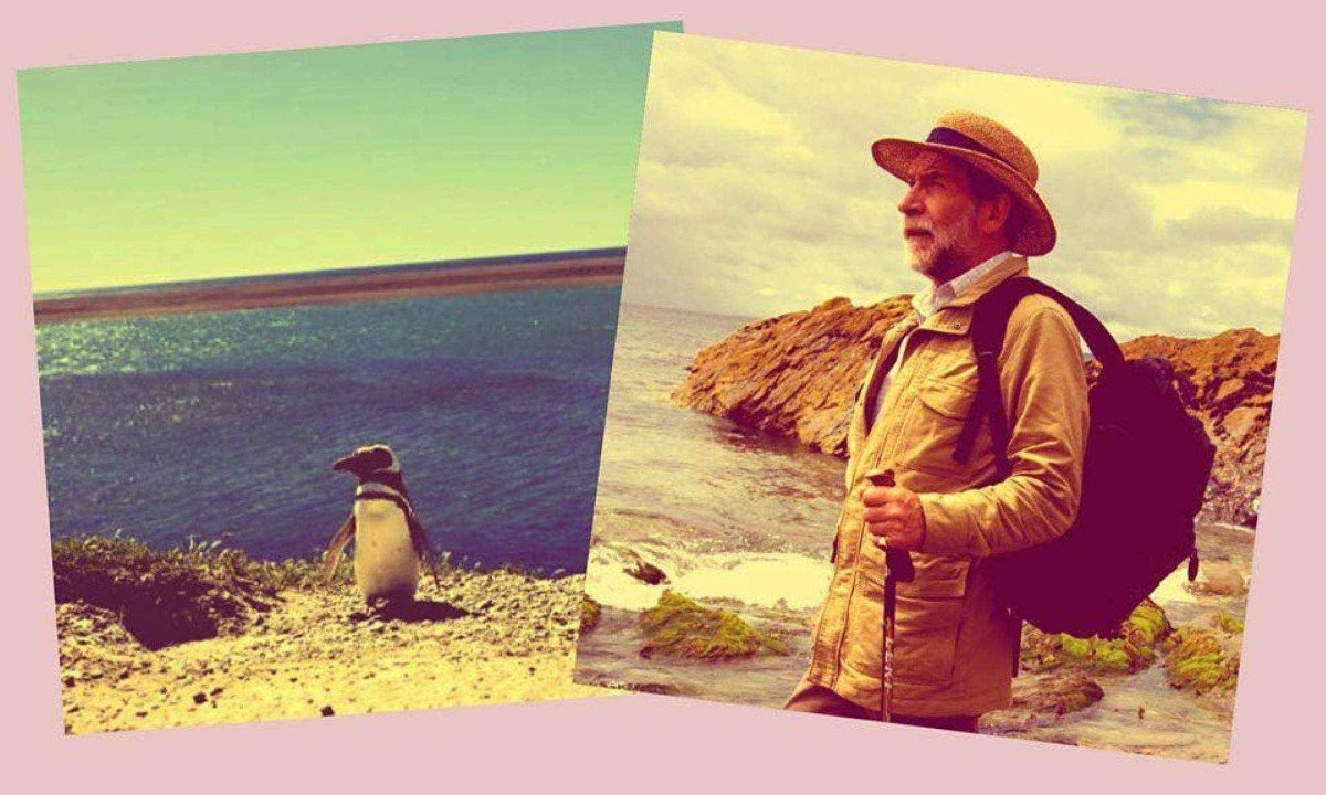 Tom usou detergente e manteiga para limpar o pinguim, que estava coberto de piche -  (crédito: Getty Images)