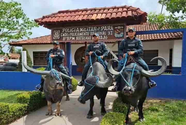 “Esse policiamento é interessante e único, porque nas outras cidades não é comum a gente ver búfalos no meio da rua, muito menos sendo utilizado no serviço policial. Eu costumo ver todos os dias os policiais e isso me deixa tranquila e me traz a sensação de segurança’’, disse a professora Ana Paula.