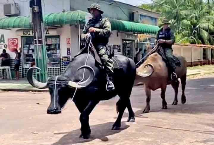 A unidade exerce o policiamento com búfalos num município que mesmo com o passar do tempo, ainda preserva o bucolismo, a cultura e a identidade dos moradores da região.
