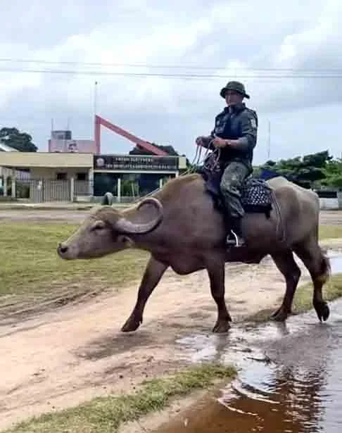 Soure é um município brasileiro localizado na zona fisiográfica da Ilha de Marajó, no estado do Pará, na Região Norte do Brasil.  Foi fundada em 20 de janeiro de 1847 por Francisco Xavier de Mendonça Furtado e está localizada a 80 km da capital paraense Belém.