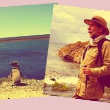 O pinguim que seguiu um professor em uma praia no Uruguai e foi viver com ele na Argentina - Getty Images