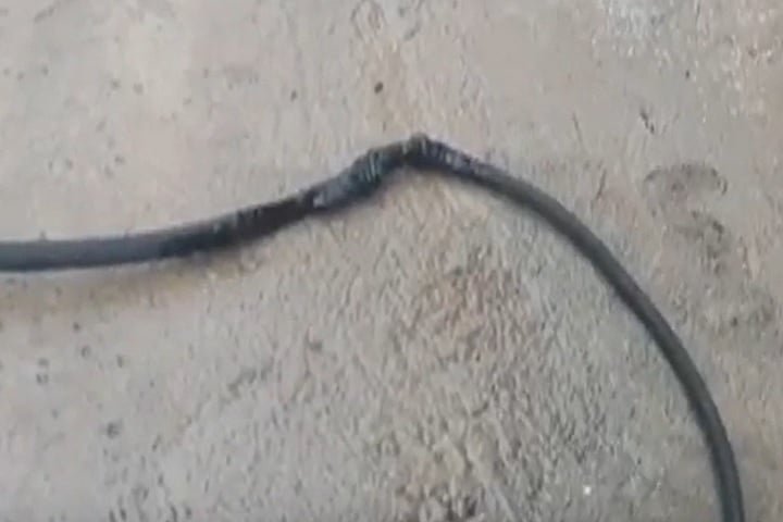 Segundo a Polícia Científica, a mulher foi encontrada pelo próprio marido, que ficou preocupado depois que ela parou atender o celular.