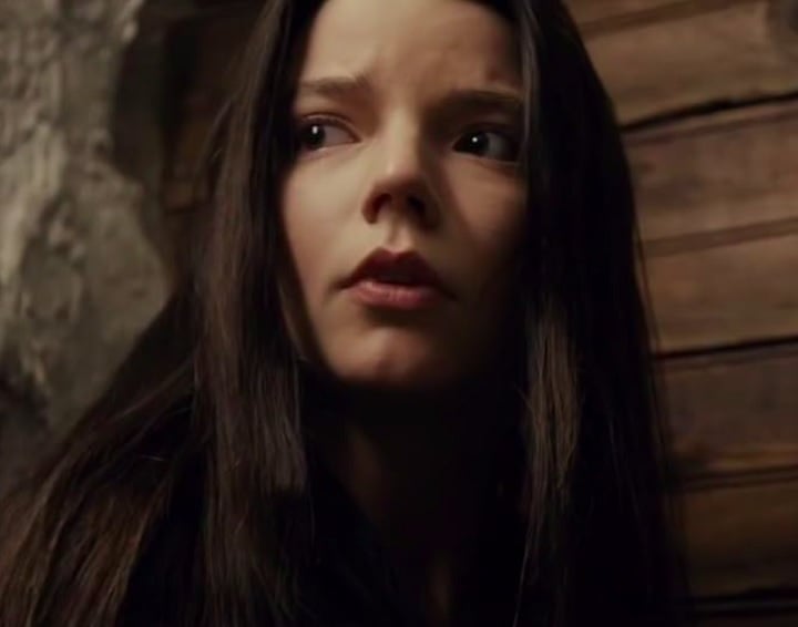 Depois disso, a atriz consolidou seu talento em thrillers psicolÃ³gicos como "Fragmentado" (2016) e sua sequÃªncia "Vidro" (2019), se firmando como uma estrela promissora em Hollywood.