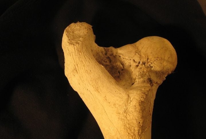 Nos dias de hoje, o uso de ossos tem sido substituído por materiais sintéticos em muitas aplicações, mas ainda há um nicho de artesanato e tradição em que os ossos continuam sendo usados. Veja exemplos!