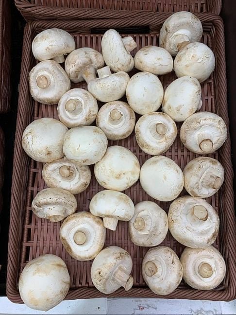 No Brasil, os tipos mais populares são: champignon, shimeji, shitake, portobello, cogumelo-de-paris e cogumelo-do-sol.