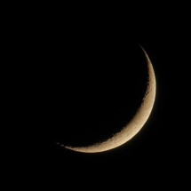 Vida em ciclos - nousnou iwasaki Unsplash