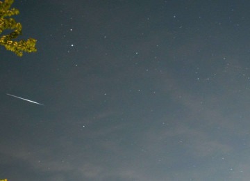 Meteoro da Eta Aquáridas visto nos EUA -  (crédito: Rede sociais)