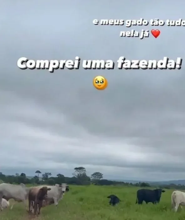 No Natal de 2023, a Boiadeira anunciou a compra de uma fazenda em Sete Quedas, em Mato Grosso do Sul, onde ela viveu. A cantora postou mensagem no Instagram dizendo que o gado já estava lá. 
