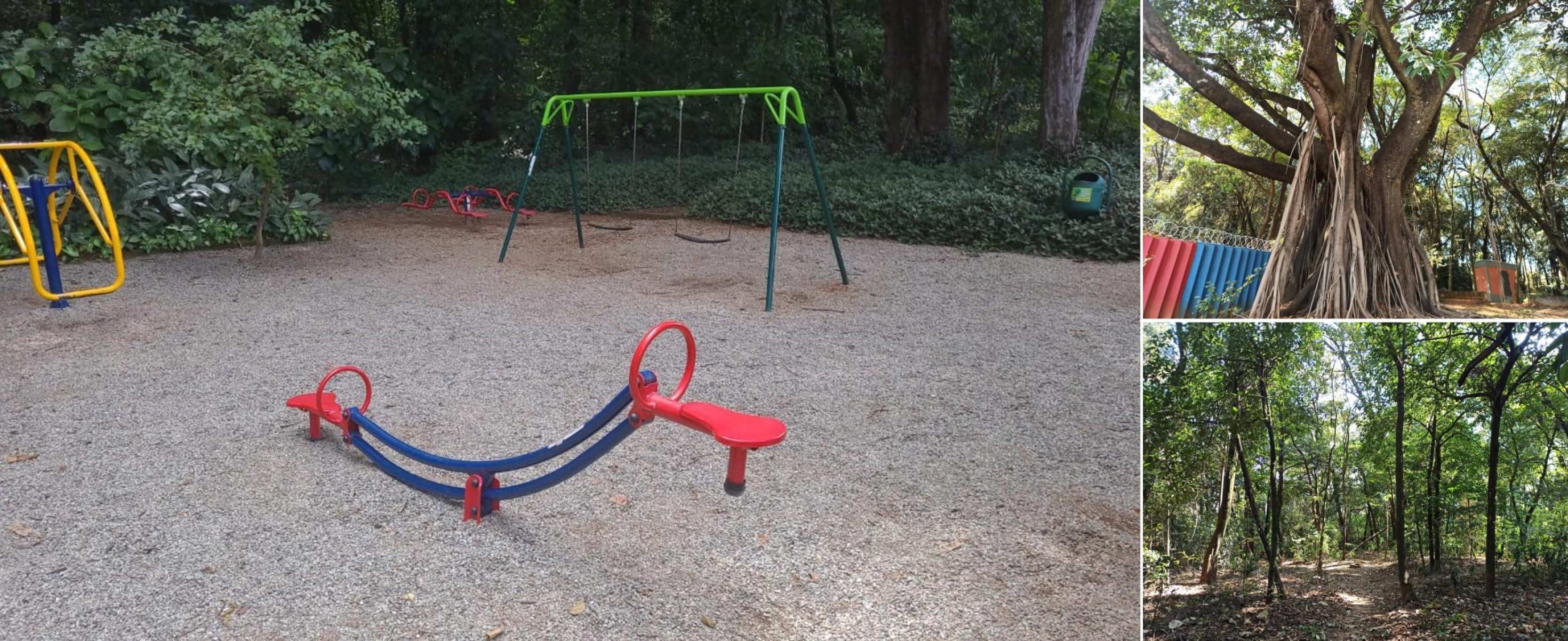 1. Parque Alexander Brandt.
Localizado na Rua Joaquim Gonçalves da Silva, 67, no Bairro Rio Branco, em Venda Nova, foi criado em 1992, pelo Decreto Municipal nº 7.233, e implantado no mesmo ano, por meio do Programa Parque Preservado. Possui uma área aproximada de 12.000 m² e uma estimativa de público de 200 pessoas por mês. É uma região de alta densidade populacional e com grande valor ambiental por apresentar 80% de sua área com cobertura vegetal nativa. Como opções de lazer, o parque oferece recantos para a contemplação e brinquedos.
