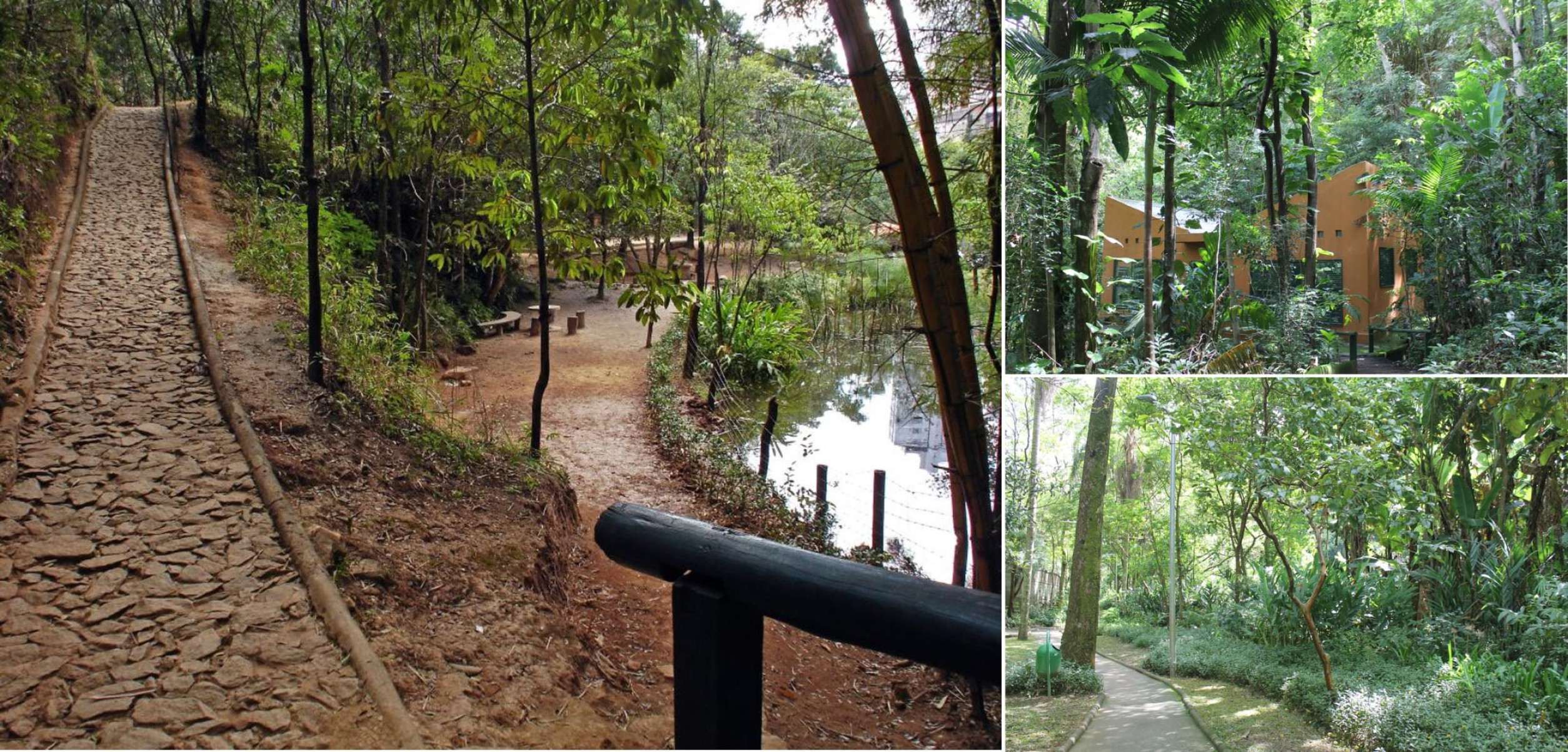 7. Parque Mata das Borboletas.
O Parque Mata das Borboletas ocupa uma área de aproximadamente 34.600 m². Situado na Rua Assunção, 650, no Bairro Sion, na Região Centro-Sul, o espaço possui duas nascentes, uma delas alimenta um pequeno lago artificial e ambas abastecem a Bacia do Córrego Acaba Mundo, afluente do Ribeirão Arrudas. Fonte de alimento e abrigo para a fauna silvestre, o parque recebe cerca de 800 pessoas por mês e abriga uma grande quantidade de borboletas, o que deu origem ao seu nome. Posicionado na encosta da Serra do Curral, o local oferece brinquedos, mesas de xadrez, trilha ecológica, equipamentos de ginástica e área de convivência e contemplação. 
