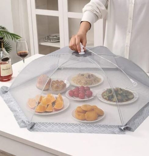 Para manter as moscas longe da sua comida, Ã© importante manter a cozinha sempre limpa, descartar o lixo regularmente, cobrir os alimentos expostos e instalar telas nas janelas.