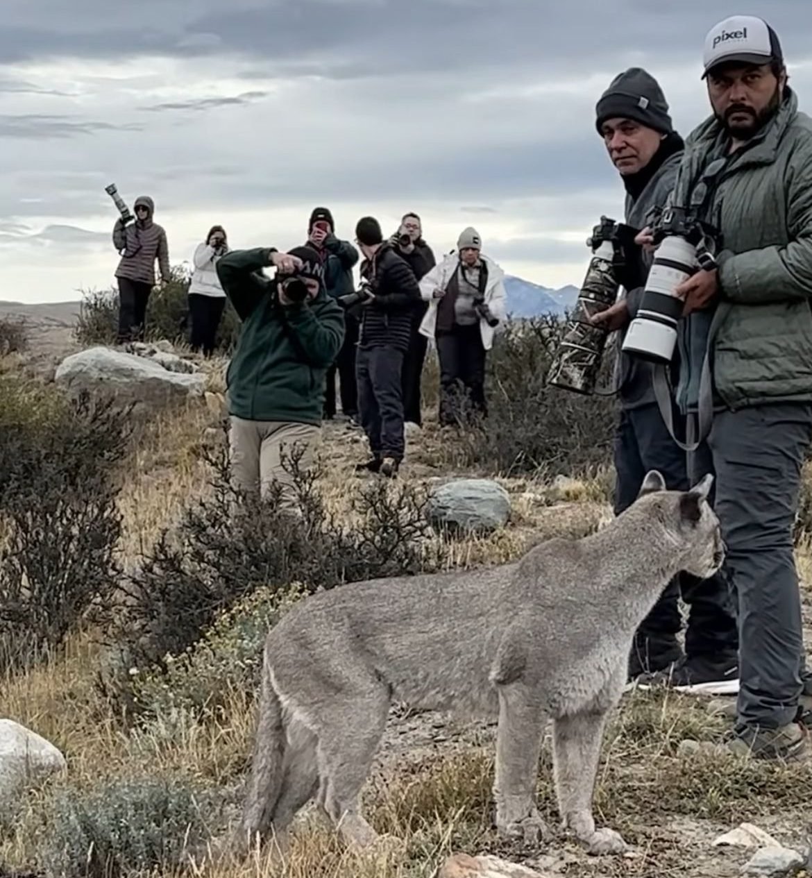 "[...] Enfim eu soltei a respiração e pude fazer as ultimas fotos", contou. "Emoção a mil, todos se abraçando por terem visto cena tão linda e eu ainda estou emocionado de ter sido escolhido por Escarcha para ter vivido isso”.