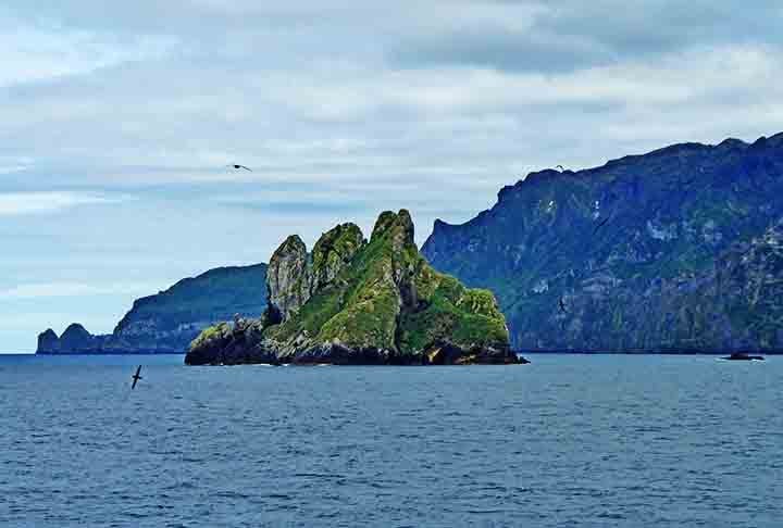 Os penhascos de rochas vulcânicas, imponentes acima do mar, se tornaram algumas das principais colônias de aves marinhas do mundo.