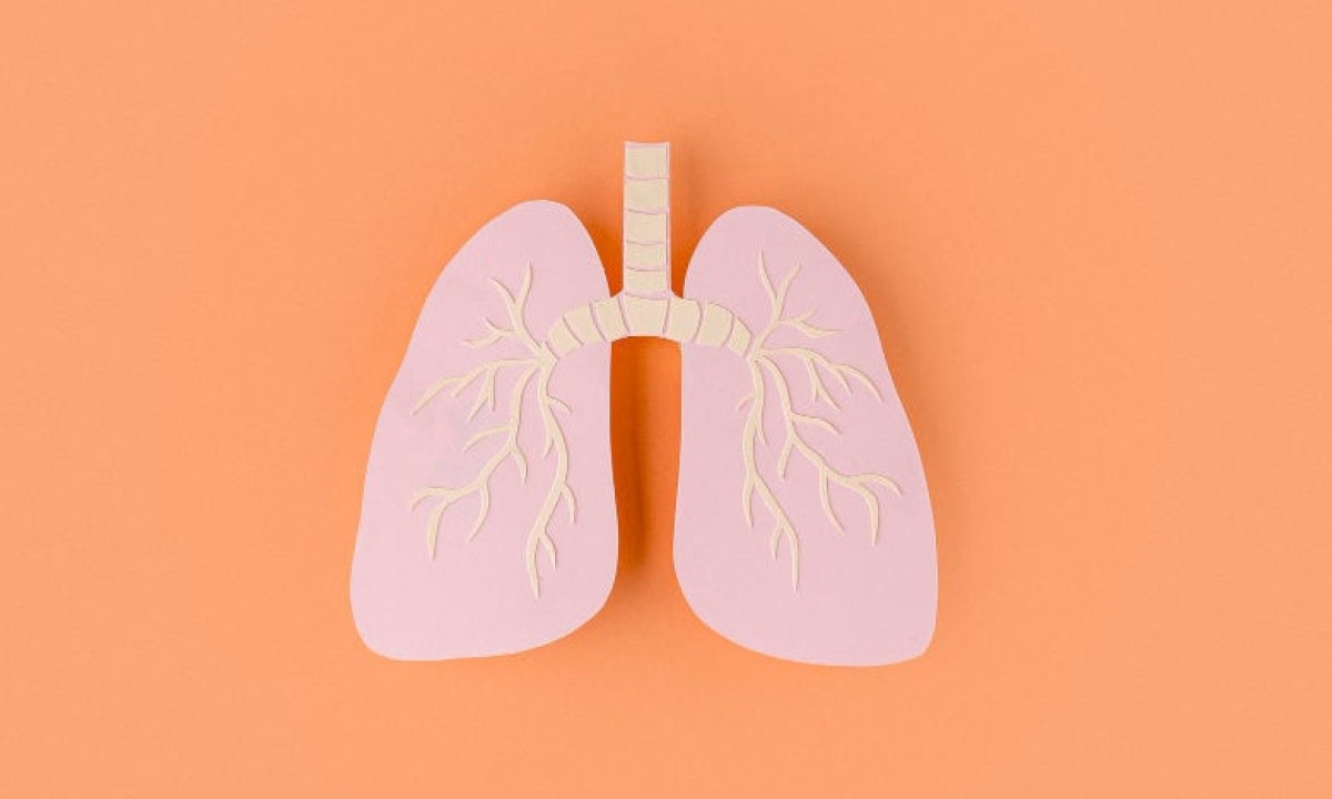 Doen&ccedil;as respirat&oacute;rias -  (crédito: freepik)