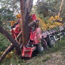 Caminhoneiro morre em acidente na BR-135 no Norte de Minas - Reprodução/CBMMG