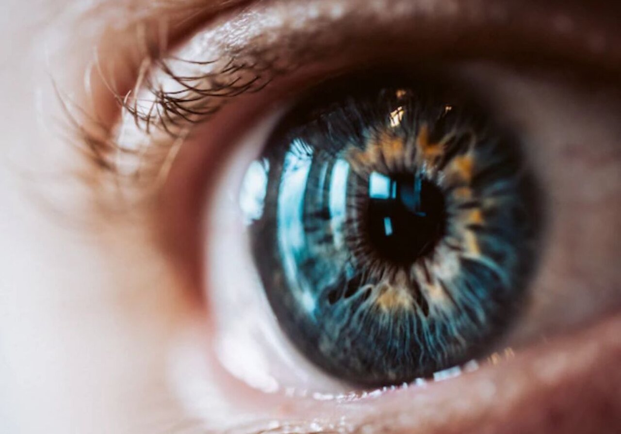 A hortelã é rica em nutrientes, incluindo vitamina A, vitaminas do complexo B, vitamina C, fósforo, ferro e potássio. Eles contribuem para a saúde dos olhos, pele, sistema nervoso e imunidade.