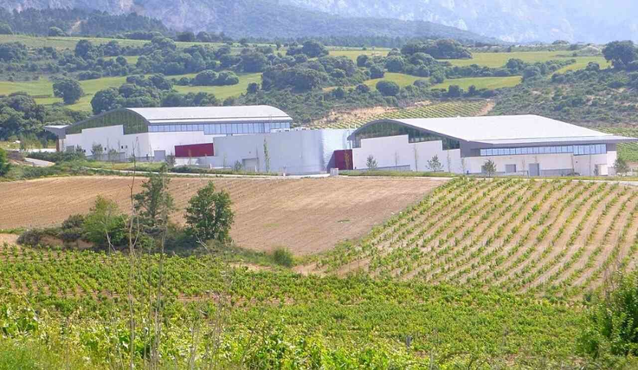 Bodegas Vega Sicilia (Espanha) - Conhecida por seus vinhos tintos de alta qualidade, como o Vega Sicilia Único, é uma das vinícolas mais renomadas da Espanha