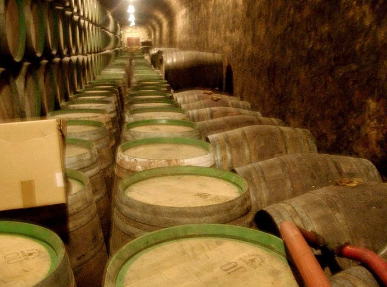 Bodegas Marqués de Riscal (Espanha) - Uma das vinícolas mais antigas da Espanha, produz vinhos tintos e brancos de alta qualidade, incluindo o Marqués de Riscal Reserva