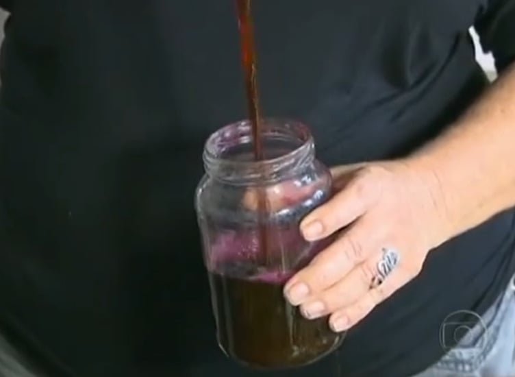 Durante sÃ©culos, a espÃ©cie de 'tinta' vermelha naturalmente proveniente da Ã¡rvore tornou o pau-brasil um recurso de grande valor. Seu corante era usado para a confecÃ§Ã£o de roupas. 