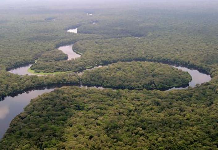3Âª - Floresta do Congo â?? RepÃºblica DemocrÃ¡tica do Congo - Ã? responsÃ¡vel por 70% da cobertura vegetal do subcontinente africano. 