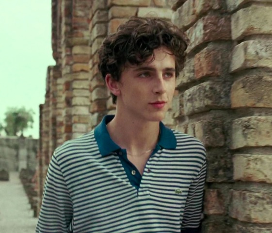 Mas foi em 2017 que o ator explodiu de vez ao interpretar o personagem Elio no filme "Me Chame Pelo Seu Nome". 
