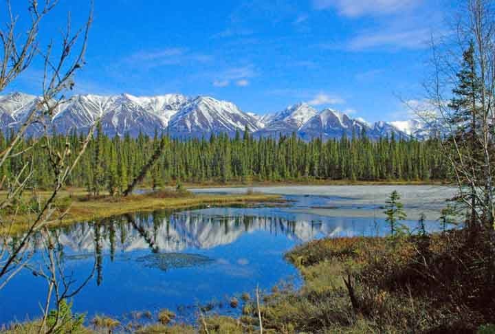 O Serviço de Parques Nacionais do Alasca, inclusive, classificou a mudança de cor do Rio Salmon como "particularmente preocupante".