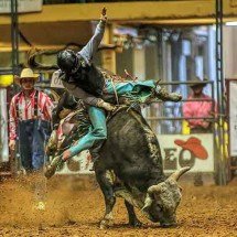 Ouro Branco suspende rodeio de festa por alegação de maus-tratos a animais -  Divulgação