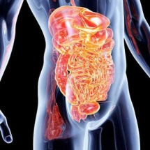 Diagnóstico precoce é chave no combate às doenças inflamatórias intestinais - Ant&ocirc;nio Augusto - Flickr