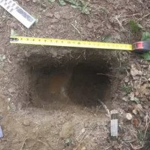 Arqueólogos descobrem enorme buraco que pode ter armazenado comida de povos antigos - Divulgação/Alaska Public Media/Base Conjunta Elmendorf-Richardson (JBER)