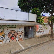 BH: Furto de cavalos resgatados pela prefeitura mobiliza Câmara Municipal - Reprodução/CMBH