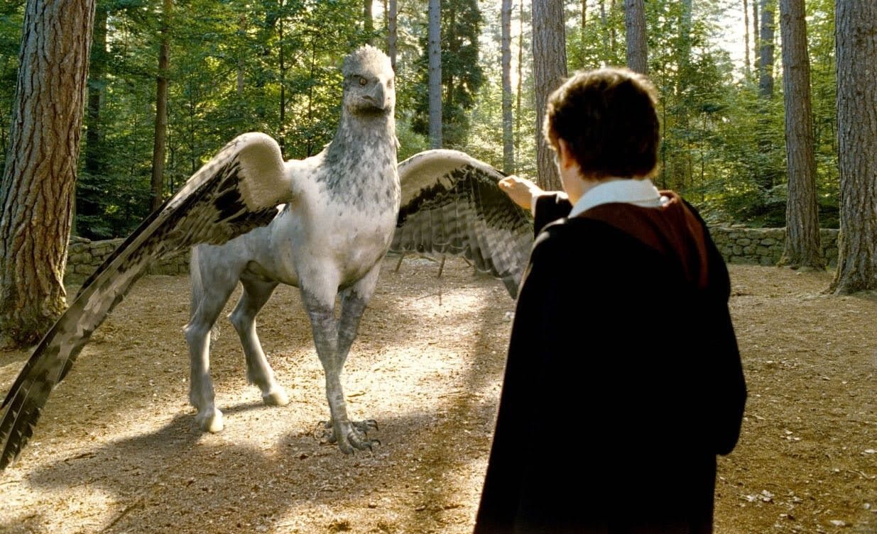 Bicuço – Hipogrifo majestoso que pertence a Hagrid e depois a Sirius. Extremamente orgulhoso, salva Harry e seus amigos no terceiro livro/filme.