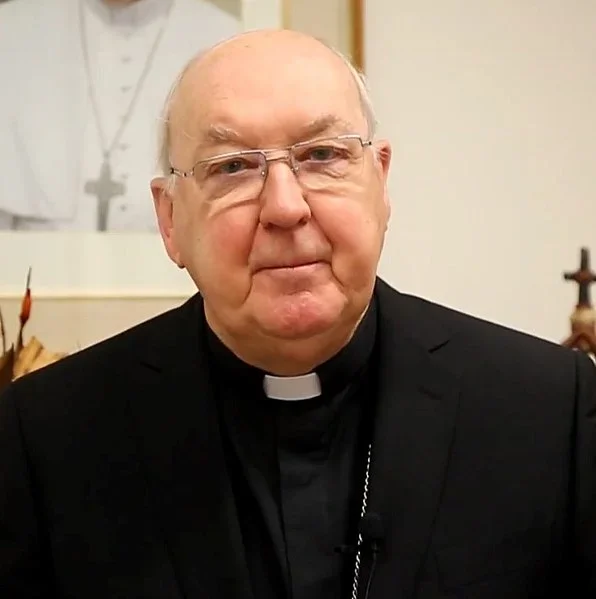 O conclave é organizado pelo camerlengo, responsável pelos bens e tesouros da Santa Sé e que também é o encarregado de liderar o funeral do papa. O cargo é ocupado atualmente pelo cardeal irlandês Kevin Farrell.

