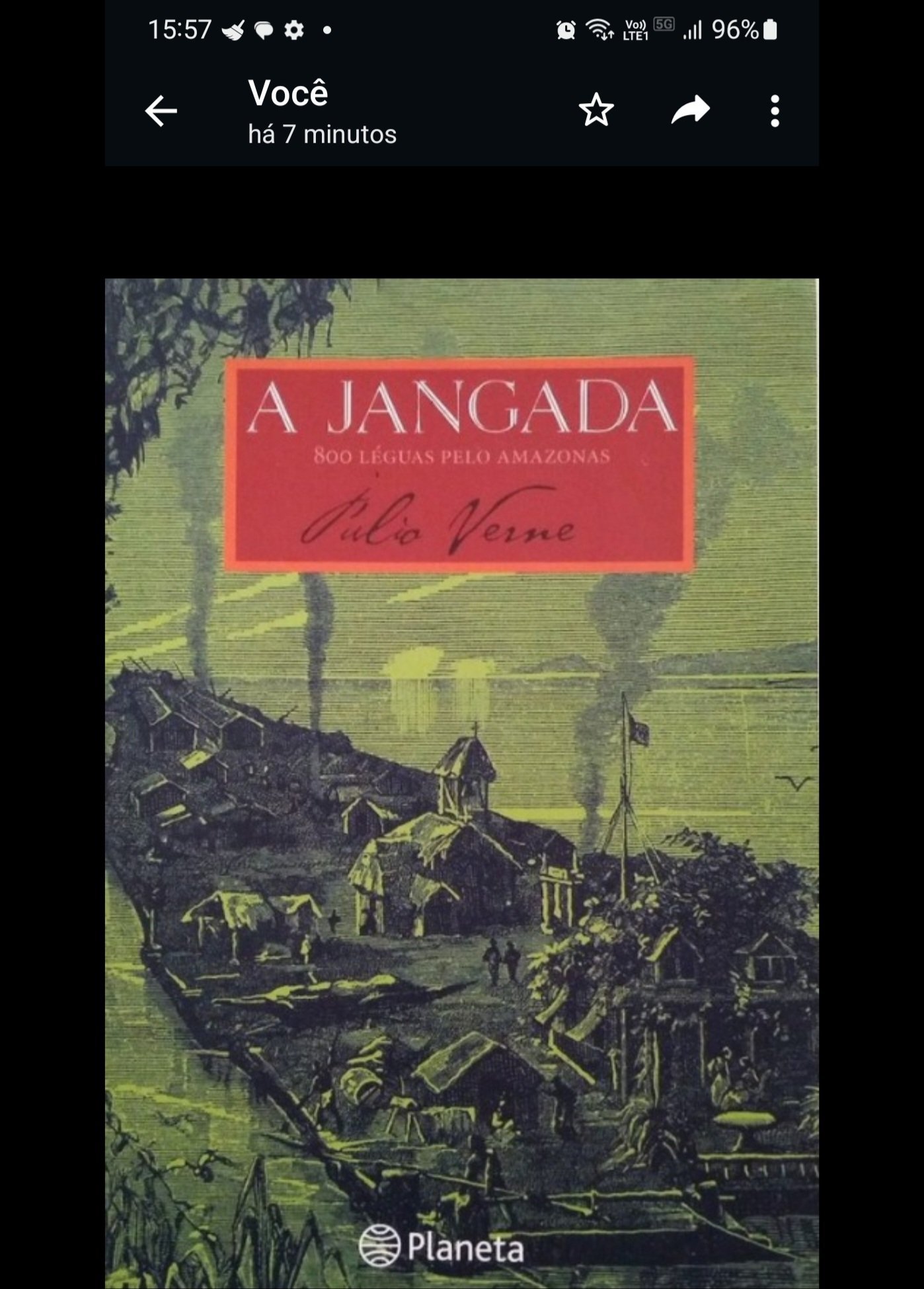 A campeã levou para a avenida um enredo baseado no livro "A Jangada  800 Léguas pelo Amazonas, publicado por Jules Verne em 1881. 