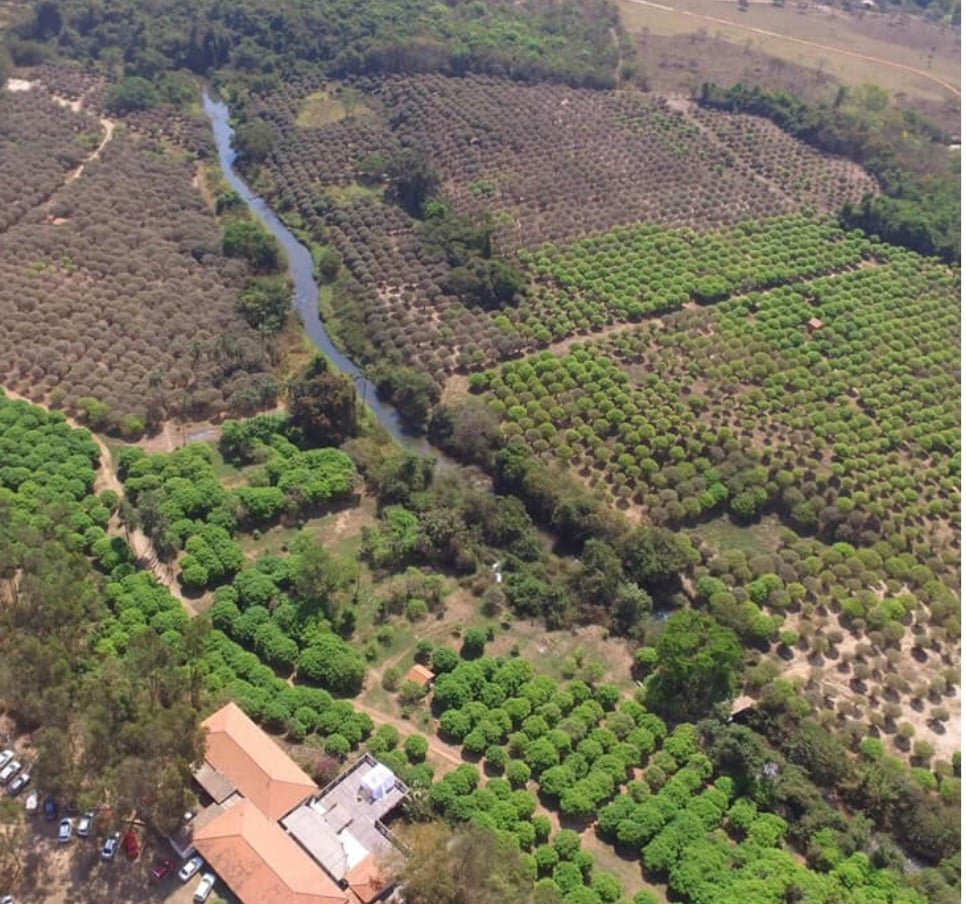 Quem conta a histÃ³ria do fundador Ã© um dos 11 filhos do fundador, Paulo AntÃŽnio Silva, de 52 anos e um dos atuais proprietÃ¡rios. Hoje a famÃ­lia jÃ¡ tem cerca de 120 membros, sendo que por volta da metade trabalha com jabuticabas.