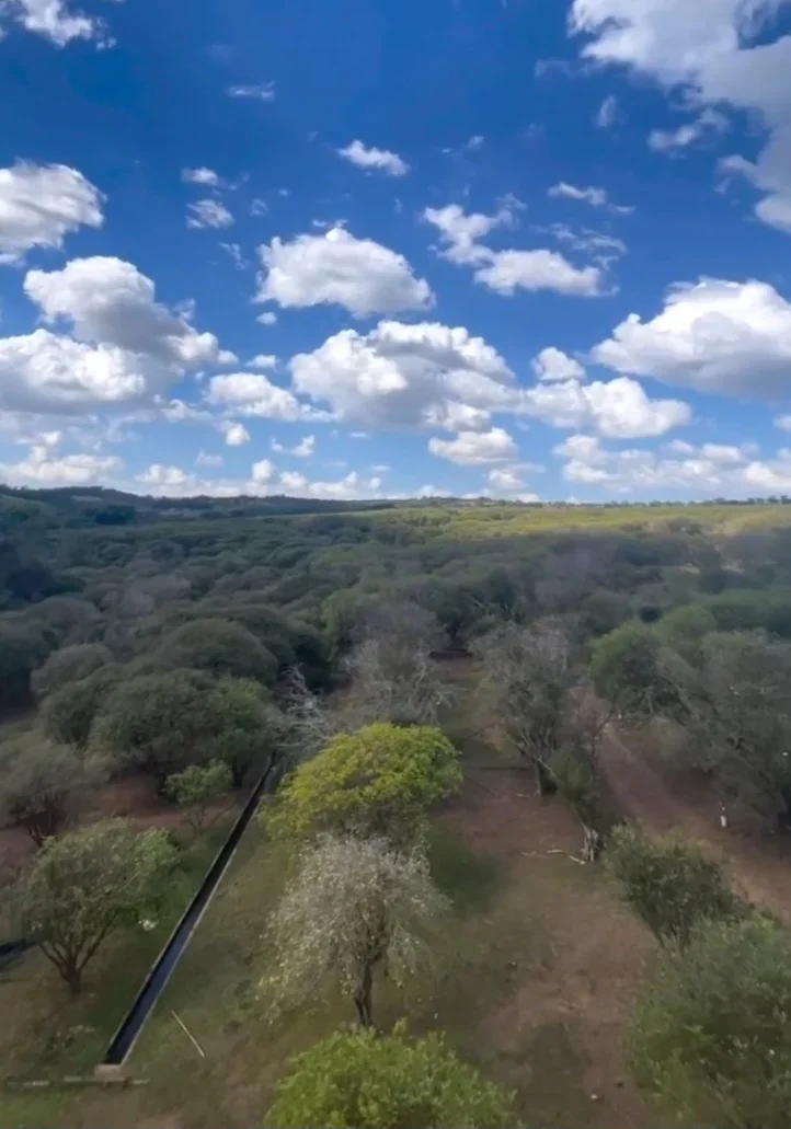 O entÃ£o pedreiro morava em Nova FÃ¡tima, povoado de HidrolÃ¢ndia, e fazia feiras em GoiÃ¢nia, recÃ©m criada Ã  Ã©poca. Ao perceber o potencial de crescimento da capital planejada, decidiu investir na plantaÃ§Ã£o de jabuticaba.