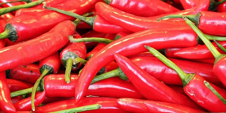 Pimenta: Com cor vibrante , suga energias negativas e afasta o azar. Um pingente em forma de pimenta pode ser uma boa escolha. 