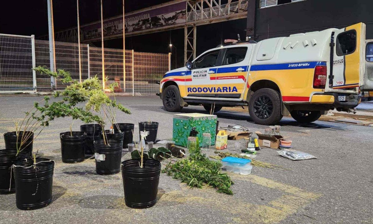 A polícia investiga agora se há outros envolvidos no esquema  -  (crédito: Reprodução/PMRv)