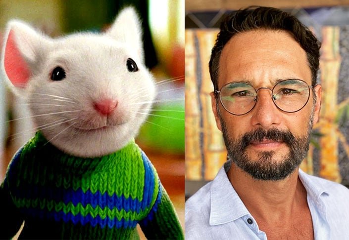 Como dublador, Santoro também participou de vários filmes, como "O Pequeno Stuart Little" 1 e 2, nos anos de 1999 e 2002.  Ele também emprestou a sua voz nos filmes "Rio 2" (foto, no papel de Túlio), em 2014, e "Klaus", em 2019. 
